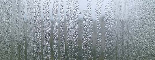 Condensation Window Alamo Exteriors